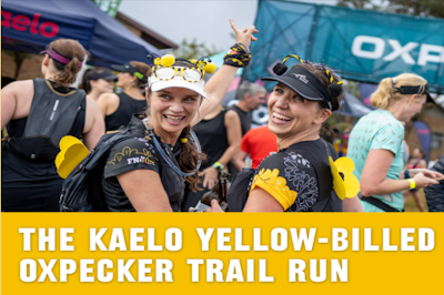 Kaelo Yellow-Billed Oxpecker 2024